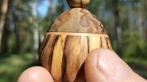 Шкатулка в весеннем лесу в дупле 
 березы