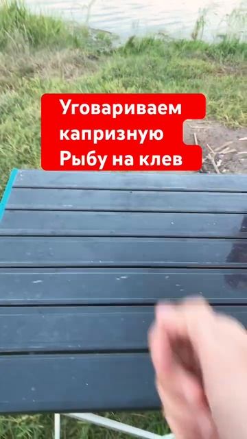 Рыбалка2024капризная рыба #fishing #рыбалка #рыба #донки #отдых #природа #путешествия #карась #лещ