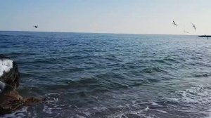 Одесса ⚓ На одесском пляже...)🌞✨ #уЧерногоМоря ✨ Февр