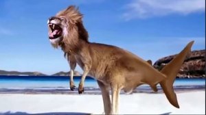 УДАЛЕННЫЕ РОЛИКИ КАШИ (ЧАСТЬ 1).