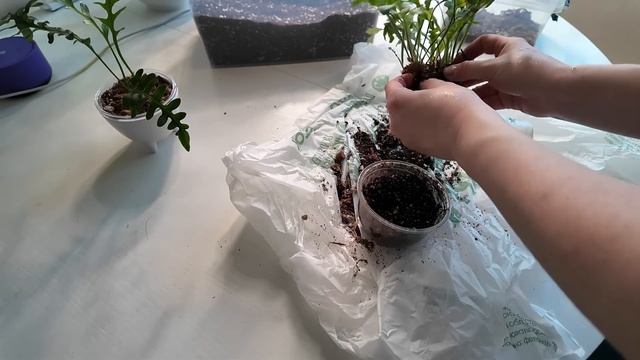 Зеленый дневник апреля смотреть онлайн