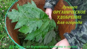 Как сделать БРОДИЛКУ из травы (бродиловку). Старинное органическое удобрение для огорода