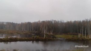 ЭТО ВСЁ МОЁ, РОДНОЕ! ЭТО РОДИНА МОЯ!