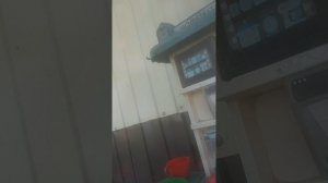 20250520_173140.mp4