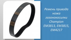 Ремень привода ножа газонокосилки Champion EM3813, EM3815, EM4217