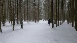 Соревнования на которых я обиделся