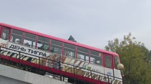 Владивосток 2024 прогулки по городу