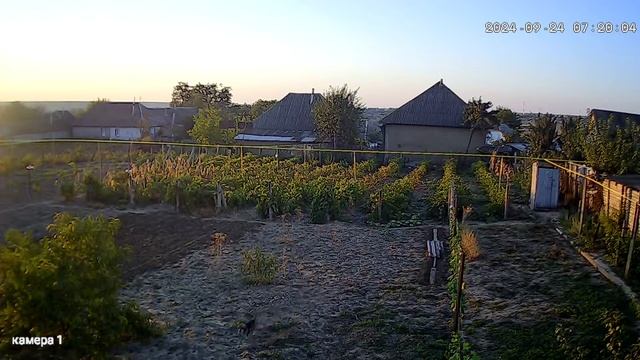 лет 5 назад эта белая ночнушка точь в точь кричала таки смотреть онлайн