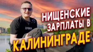 Сколько зарабатывают жители Калининграда? Реальные цифры и истории.
