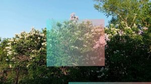 Анласана караоке (минус) karaoke