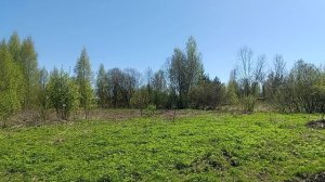 Наши пчелы уже работают.Стало тепло и они активно летают.