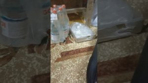 электро самокат Sealup Q8-36v