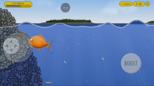 Testy Planet (Игра про рыбку)