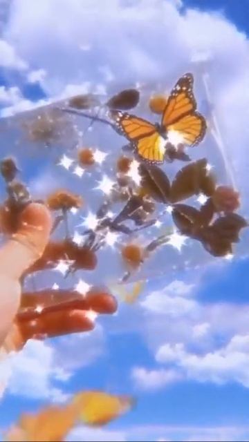 Видео обои из Pinterest смотреть онлайн