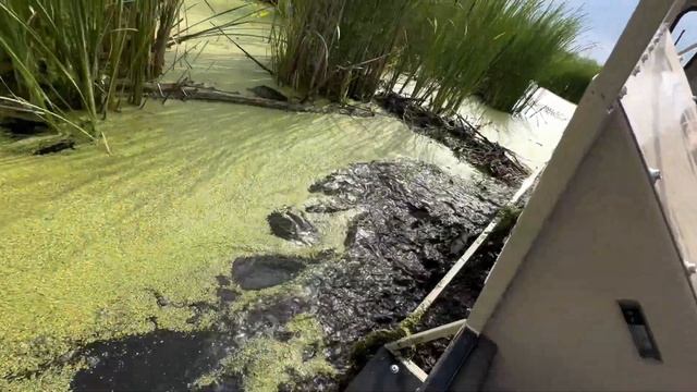 ШЕРП БОЛЬШЕ не НУЖЕН. "ПИОНЕР" - ЛУЧШИЙ ВЕЗДЕХОД РОССИИ? смотреть онлайн