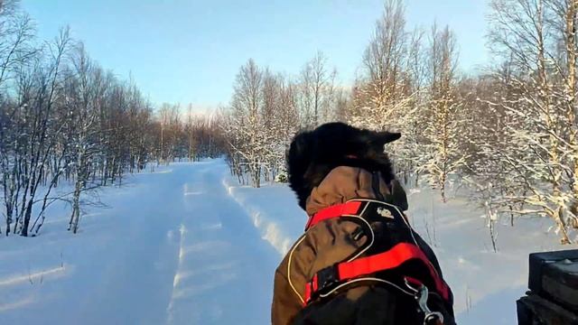на гтт из Ловозера в Краснощелье и обратно