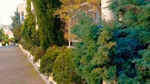 Плюсы и минусы санатория  «Октябрьский» Сочи