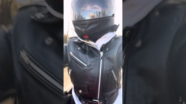 31 октября Harley Davidson Sportster 1200 смотреть онлайн