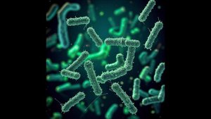 Бактерия - расслабляющая музыка