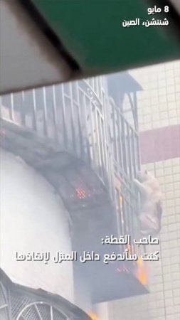 🐈👨🚒Китайские пожарные спасли кошку