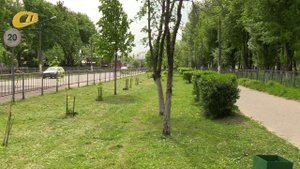 РУБРИКА "БЕЗ КОММЕНТАРИЕВ"