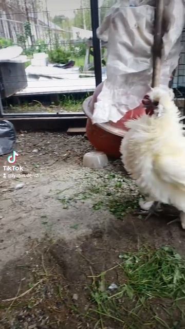 огнетушитель