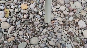 Бюджетный ремонт стоек багажника