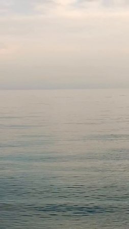 Дельфины🐬 встречают закат🌅 в Сочи🌴
