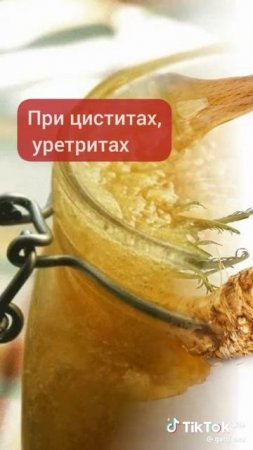 Природная аптека
