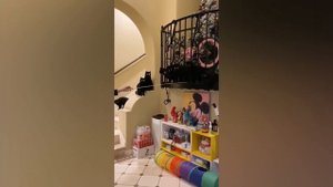 ПРИКОЛЫ С ЖИВОТНЫМИ ДО СЛЕЗ / Смешные КОТЫ 2022 / Приколы с КОТАМИ / Funny ANIMALS video #97