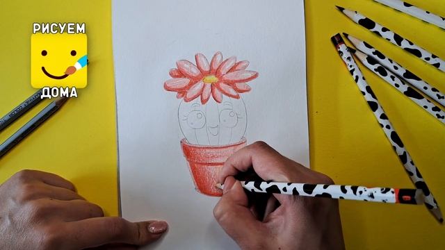Как нарисовать КАКТУС/ Простые рисунки карандашом/ Ри? смотреть онлайн