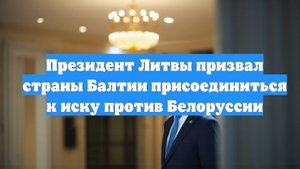 Президент Литвы призвал страны Балтии присоединиться к иску против Белоруссии