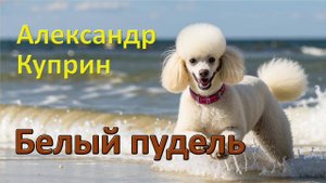А. Куприн. "Белый пудель". Рассказ.