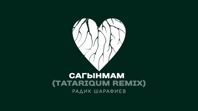 Радик Шарафиев - Сагынмам (Tatariqum remix) Official audio