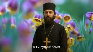 "Сколько раз прощать? А если снова упал?.. О грехе, покаянии и Божьей милости"