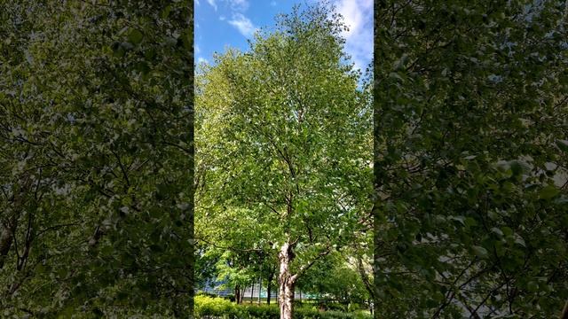 экскурсия по Москве часть первая