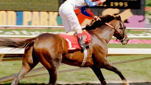 ТОП-10 Самых быстрых скаковых лошадей всех времен! Что случилось с их правами на разведение? смотреть онлайн