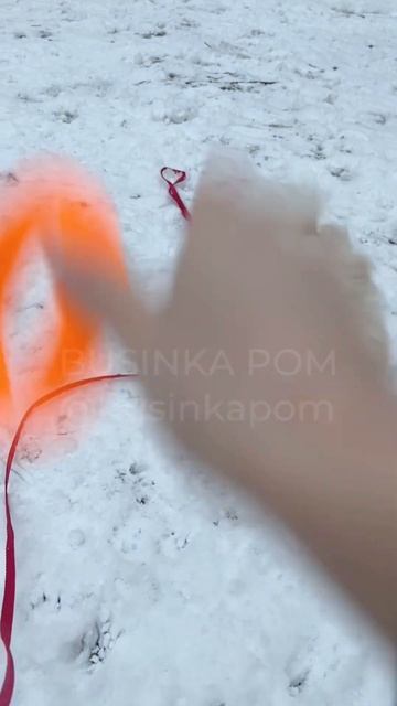 шпиц играет на улице зимой my pomeranian is playing outside  собака cutedog funnydog