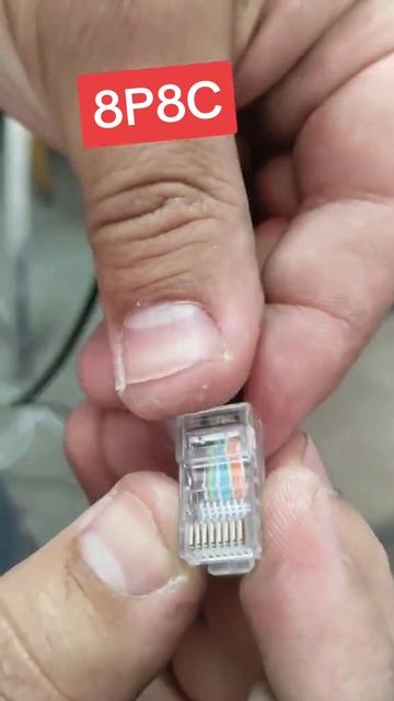 режим кабеля вита пара конвектором 8р8с смотреть онлайн