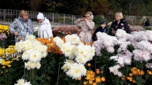 ПАРАД ХРИЗАНТЕМ В КРЫМУ.