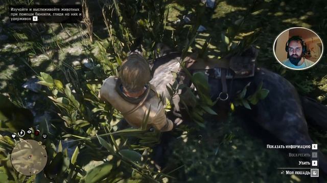 Стрим на AMD :D  Red Dead Redemption 2  Повозка с девушками