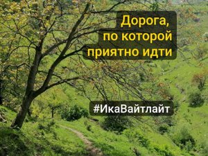 Дорога, по которой приятно идти #ИкаВайтлайт