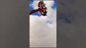День рождения в Сочи парке