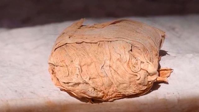 Археологи нашли таинственный сундук в древнеегипетск