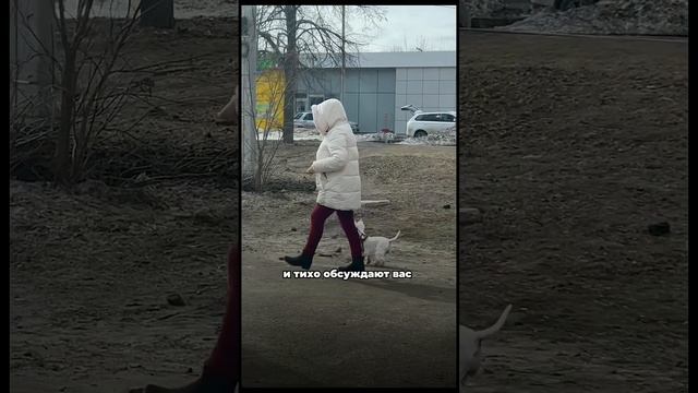 Три ситуации, где вы подстраиваетесь под собаку, при этом сами этого не замечаете⬇️