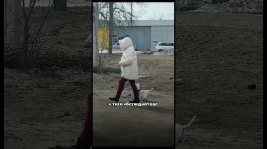 Три ситуации, где вы подстраиваетесь под собаку, при этом сами этого не замечаете⬇️
