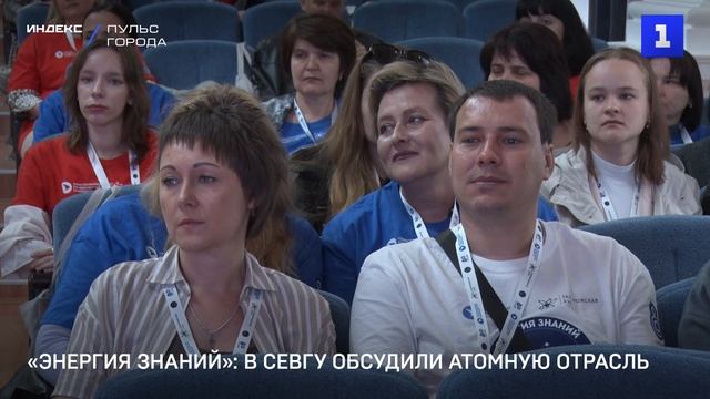 «Энергия знаний»: в СевГУ обсудили атомную отрасль