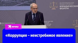 Председатель Конституционного суда России Зорькин заявил о неистребимости коррупции