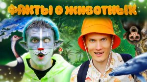 КОТ УЧЁНЫЙ| ФАКТЫ О ДИКОЙ ПРИРОДЕ