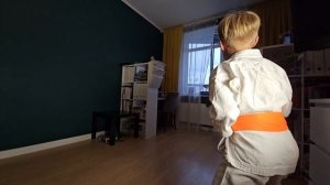 ката на оранжевый пояс